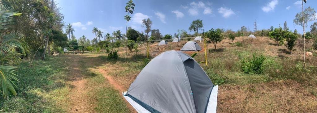 Hotel Wilderness Jungle Camp à Malavalli Extérieur photo
