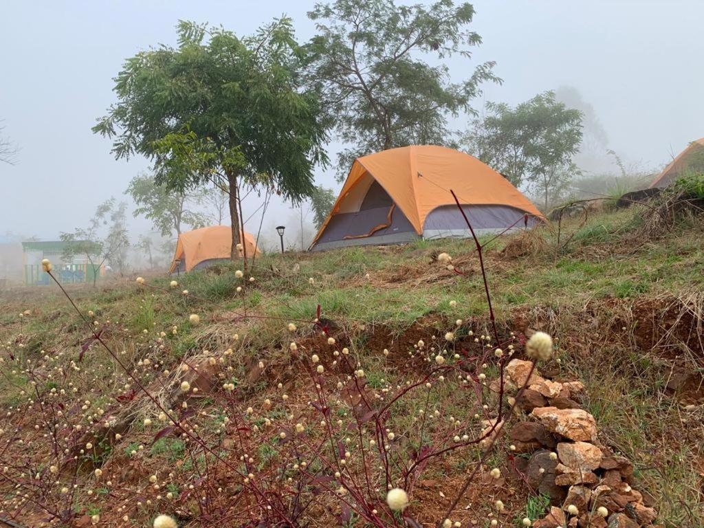 Hotel Wilderness Jungle Camp à Malavalli Extérieur photo