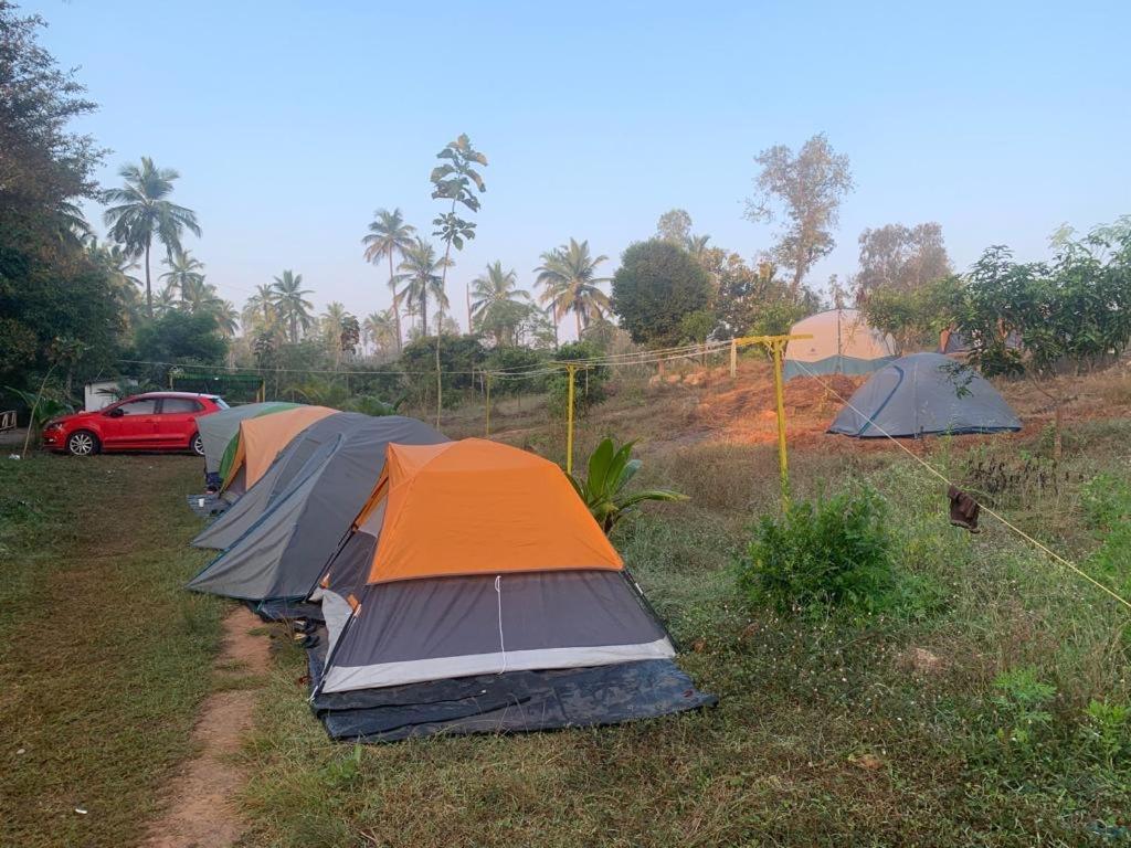 Hotel Wilderness Jungle Camp à Malavalli Extérieur photo