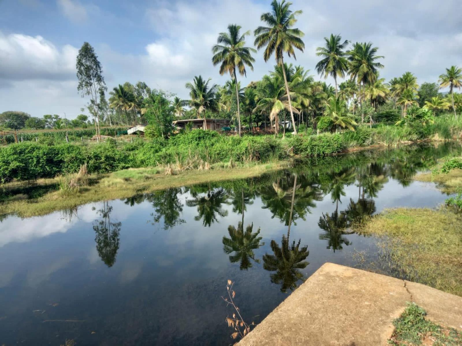 Hotel Wilderness Jungle Camp à Malavalli Extérieur photo