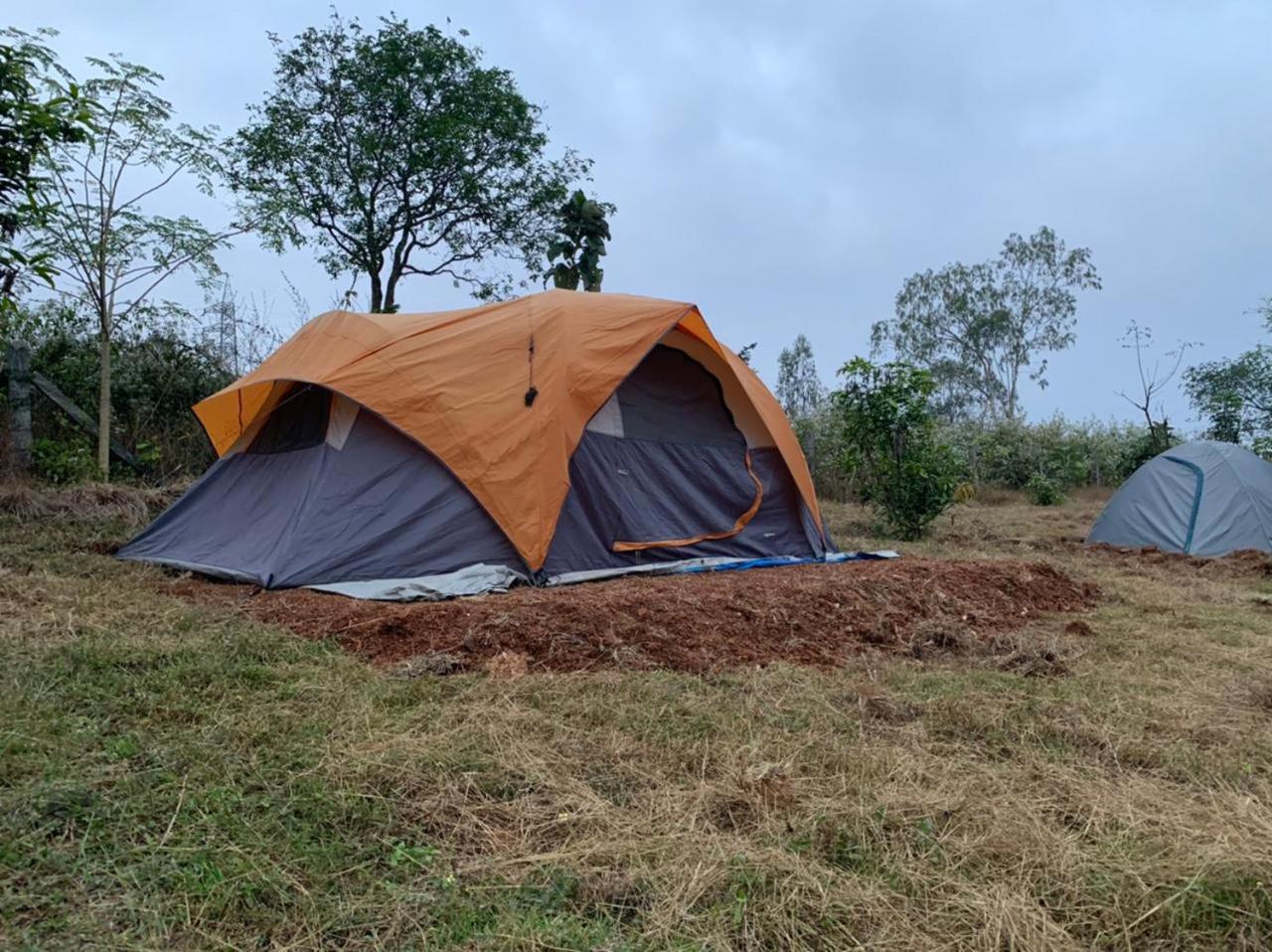 Hotel Wilderness Jungle Camp à Malavalli Extérieur photo